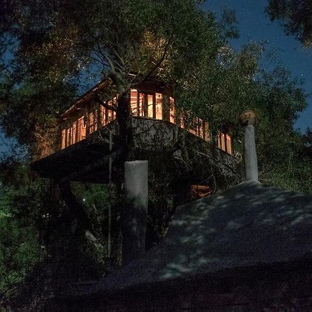 Villa Margaritis'S Treehouse Paramonas  Exterior foto