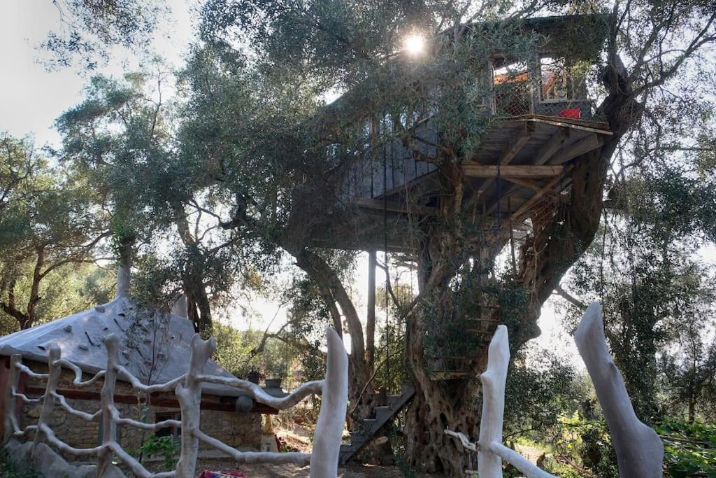 Villa Margaritis'S Treehouse Paramonas  Exterior foto