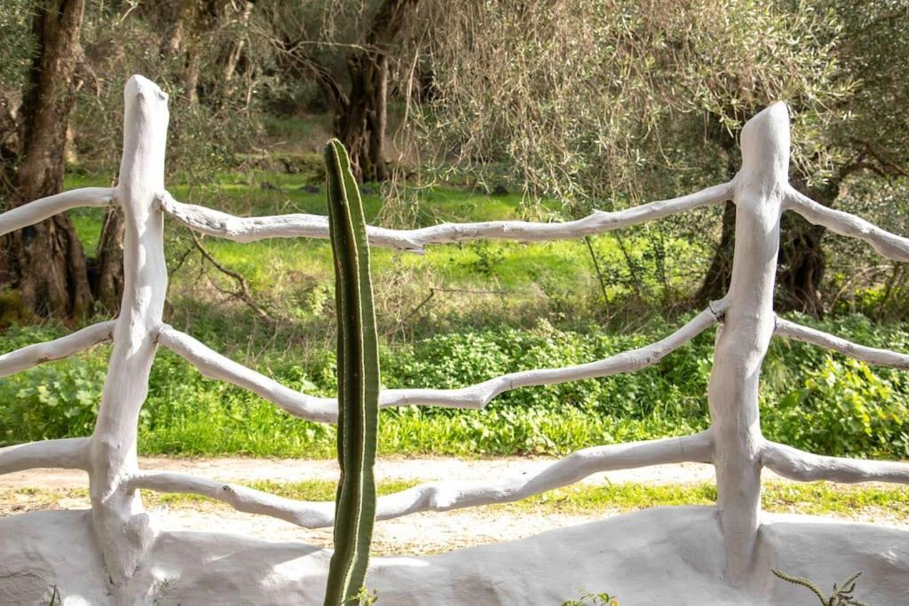 Villa Margaritis'S Treehouse Paramonas  Exterior foto