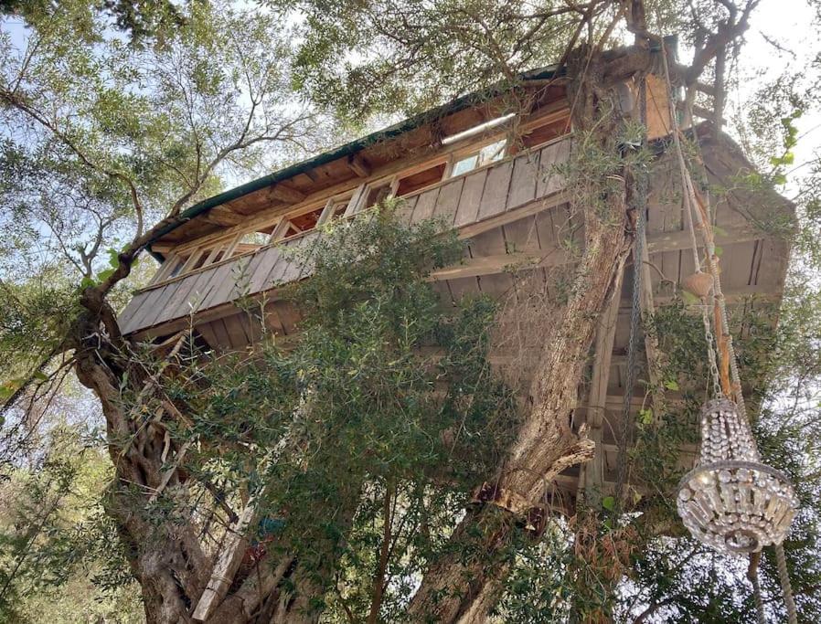 Villa Margaritis'S Treehouse Paramonas  Exterior foto